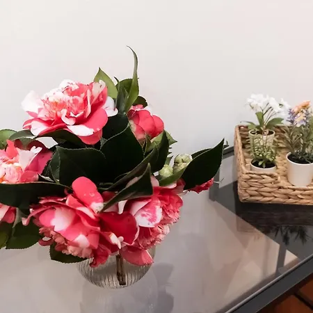 -quadrilocale In Centro-vicino Apartment
